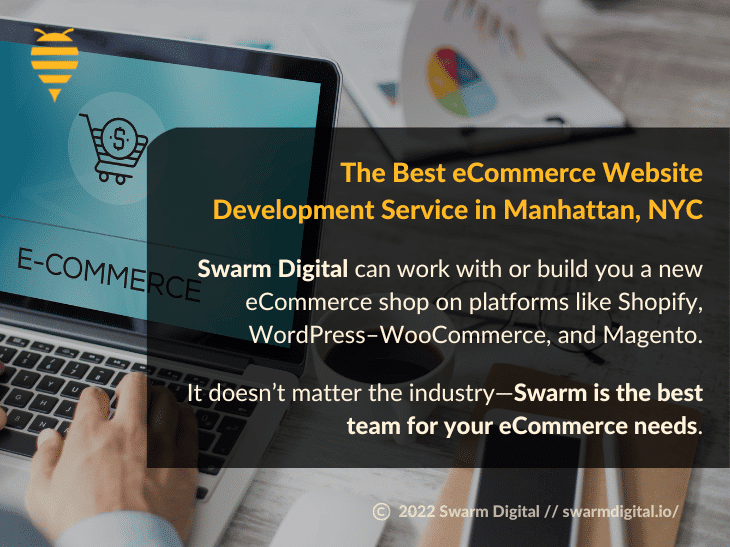 Image of the Best eCommerce Website Development Service in NYC