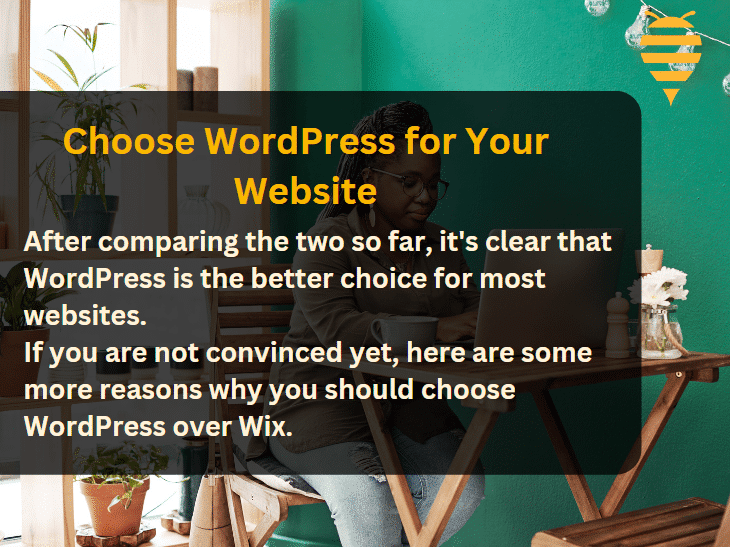 3rd supporting image for the article: You should choose WordPress as your website builder, and here's why.