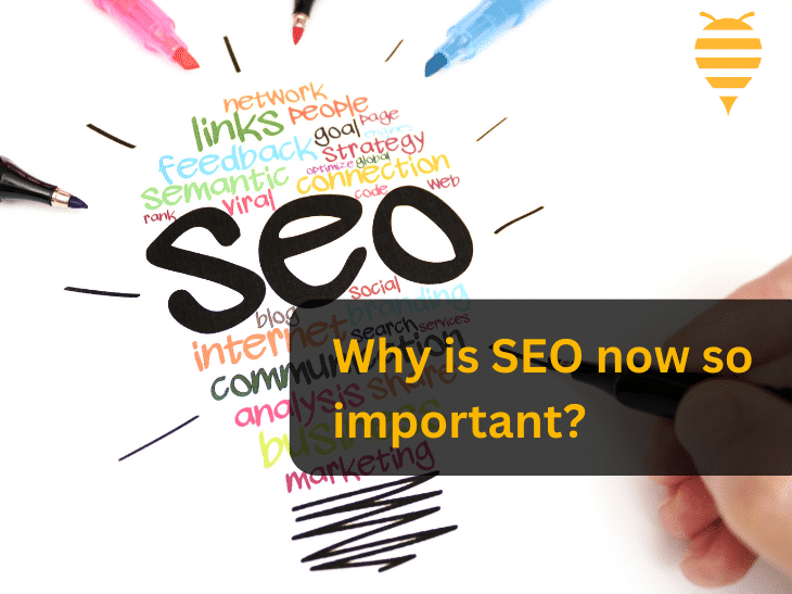 This graphic features a brainstorm of SEO in various colours of blue, green, yellow, red and orange. There is overlay text that emphasizes the importance of SEO. In the top right is the swarm digital marketing logo.