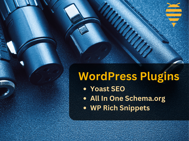 This graphic features black cables that plug in, emphasising the overlay text: wordpress plugins. Examples listed are Yoast SEO, All in One Schema.org, WP Rich Snippets. In the top right is the swarm digital marketing logo.